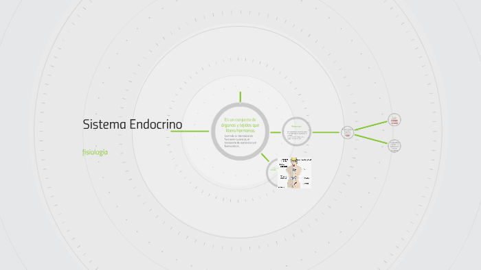 Fer Rdz Sistema Endocrino by Fer Rdz Palapa on Prezi