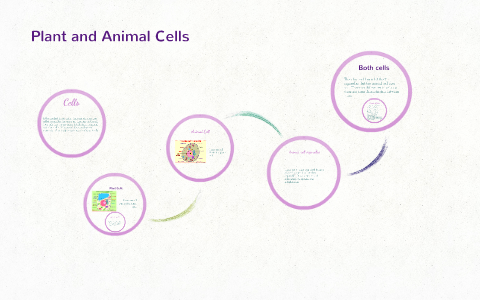 Plant and Animal Cells by lindsey guy on Prezi