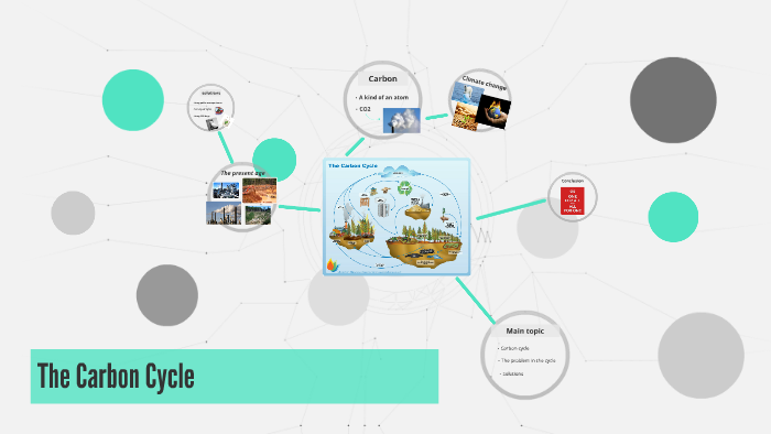 The Carbon Cycle by Yuki Iemura on Prezi