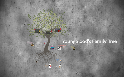 prezi youngblood