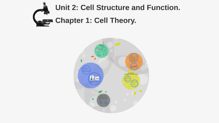 Unit 2: Cell Structure And Function. By Mona Kamal On Prezi