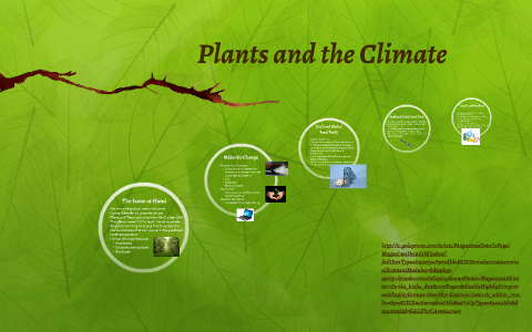 Plant And Climate Introduction.pdf Plants and the Climate by Neil S on Prezi