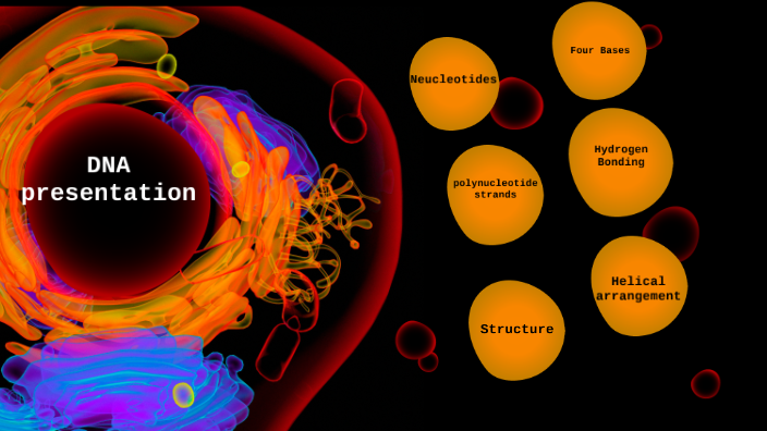 DNA presentation by Katherine Kefa on Prezi