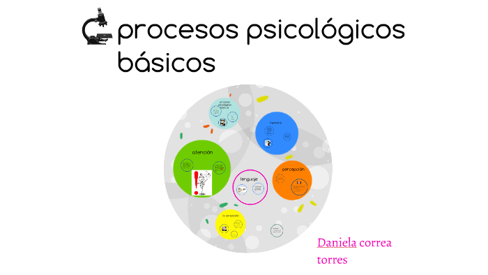 Procesos Psicologicos Basicos By Dani Torres