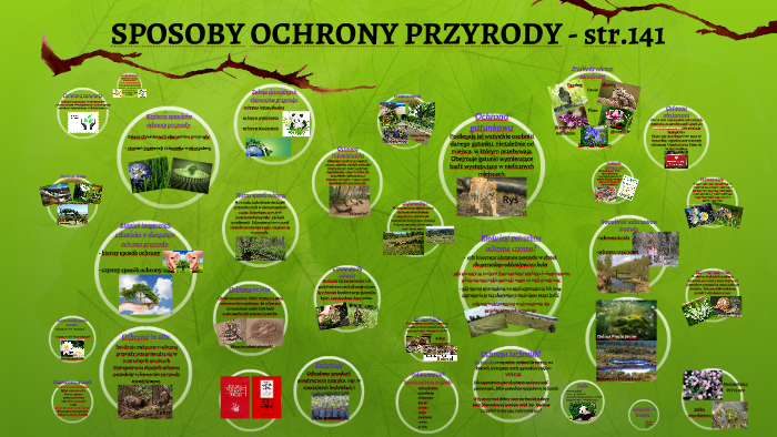 SPOSOBY OCHRONY PRZYRODY by Karoo Kandora on Prezi