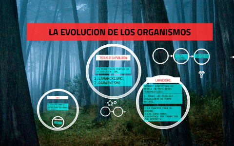 LA EVOLUCION DE LOS ORGANISMOS by Carlos De León