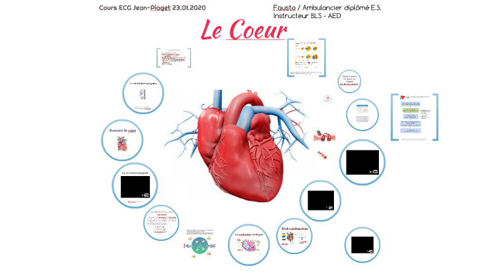 Cours ECG Jean Piaget by Fausto Capponi on Prezi