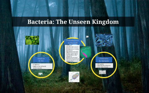 Aquificae by Aja vonHentschel on Prezi