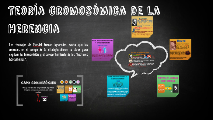 Teoria cromosomica de la Herencia by Luzmary Diaz on Prezi