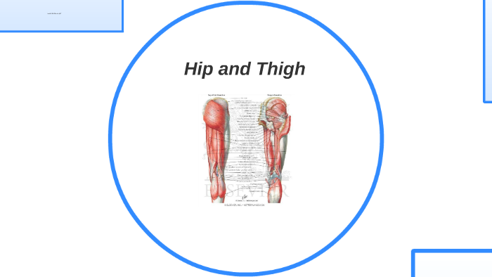 Hip and Thigh by Douglas Willmott on Prezi