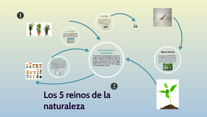 Los 5 reinos de la Naturaleza by Mario Mazariegos on Prezi
