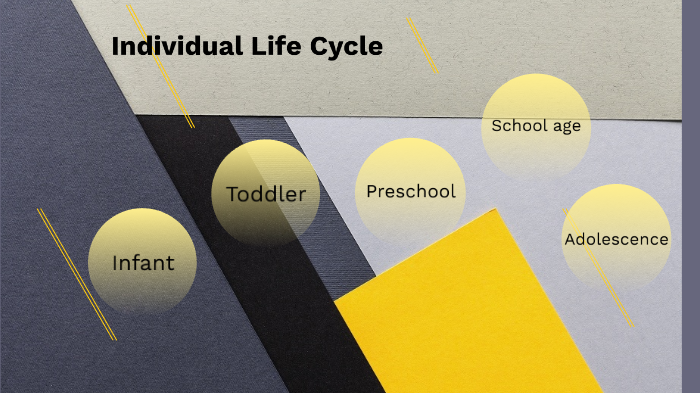 Individual Life Cycle by NICKOLAS PROVINES on Prezi