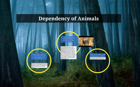 Animal Dependency by Gina Neff on Prezi