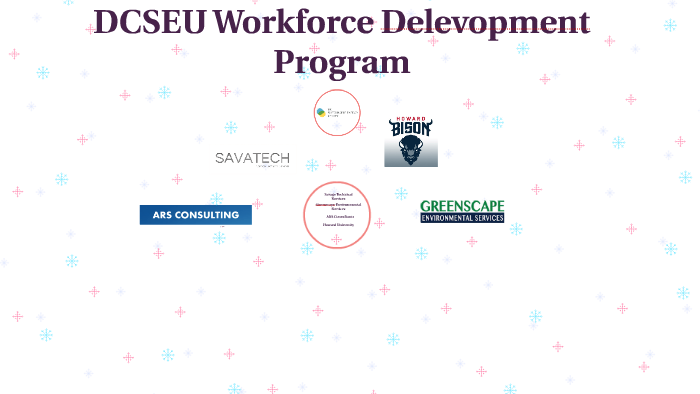 dcseu-workforce-delevopment-program-by-domenio-smith