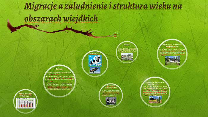 Migracje a zaludnienie i struktura wieku na obszarach wiejdk by Adam