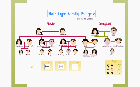 Family Pedigree By Sofia G On Prezi