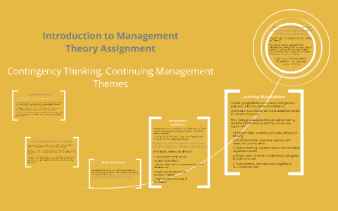 management theory assignment