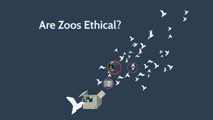 zoos are ethical essay