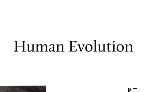 Human Evolution by Rick McKinnon on Prezi