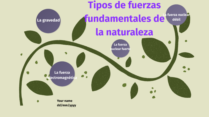 Tipos De Fuerzas Fundamentales De La Naturaleza By Julia Rosa On Prezi 2351