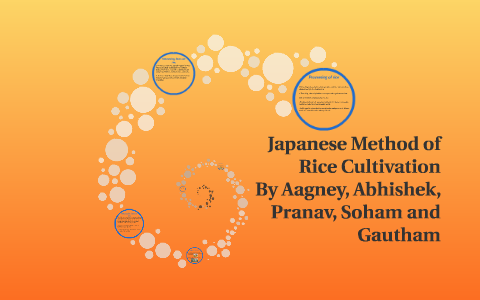 Japanese Method of Rice Cultivation by Gautham Narayanan on Prezi