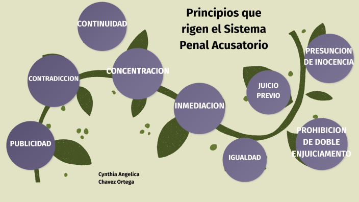 Principios que rigen el Sistema Penal Acusatorio by Viridiana Janet