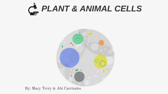 PLANT & ANIMAL CELLS by Macy Terry on Prezi
