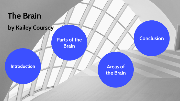 The Brain by KAILEY COURSEY on Prezi