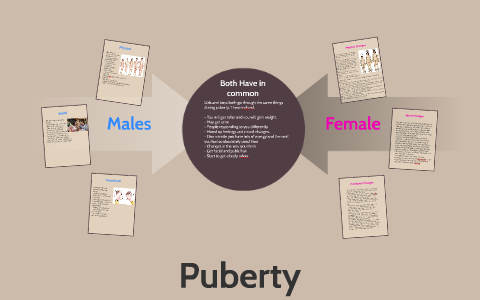 Puberty by Ben holman on Prezi