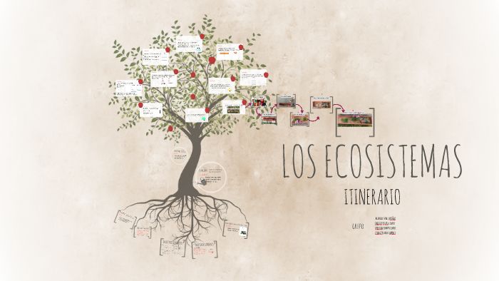 LOS ECOSISTEMAS by Alba Del Vals on Prezi