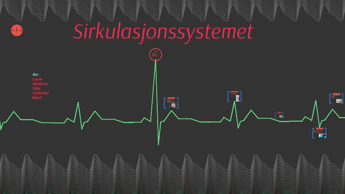 Sirkulasjonssystemet by Berit Øverstad on Prezi