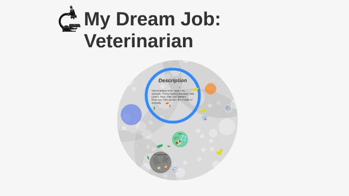 my dream job essay veterinarian