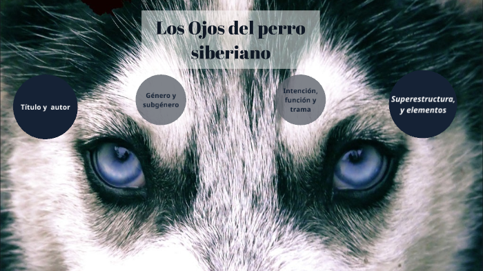 Los ojos del perro siberiano by Lele Brez on Prezi