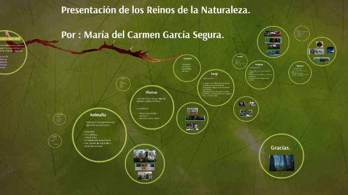 Reinos de la Naturaleza by Maria Garcia on Prezi