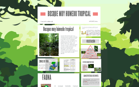 BOSQUE MUY HUMEDO TROPICAL by Jacky Morales