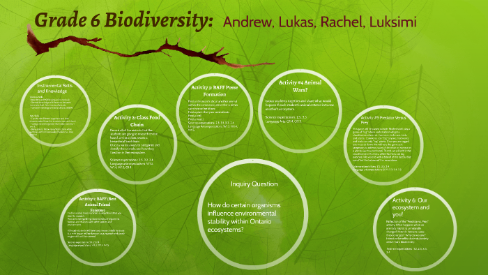 Free Printable Grade 6 Biodiversity Worksheets