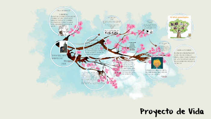Proyecto de Vida by Katherine Salavarría on Prezi