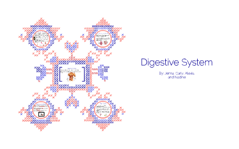 Digestive System by on Prezi