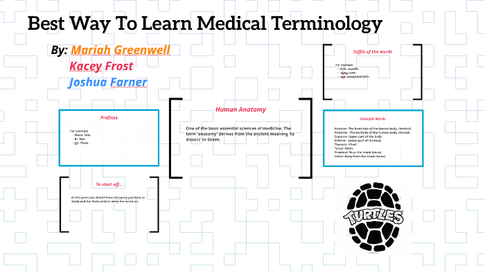 Best way to learn medical terminology by mariah greenwell