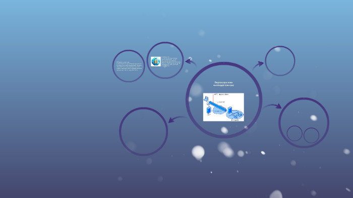 Виртуалды жеке тұлғалардың жазбалары