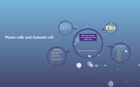 Plant and animal cells by Preet B. on Prezi