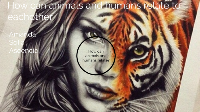 how-can-animals-and-humans-relate-by-amanda-ascencio