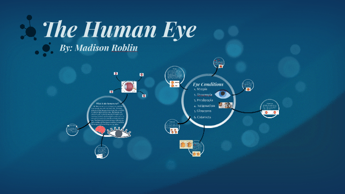 The Human Eye by madison roblin on Prezi