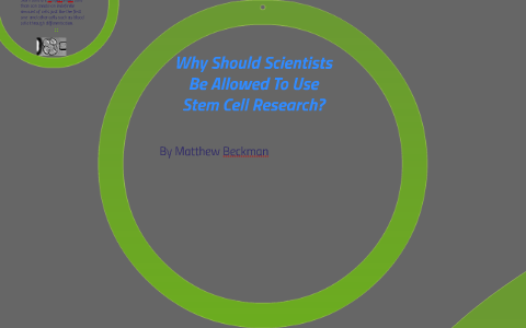 Stem Cell Research Should Not Be Allowed