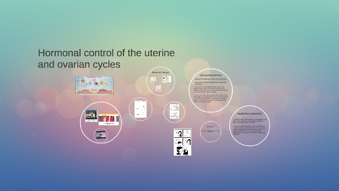 Hormonal control of menstrual and ovarian cycles by Ms Hendriks on Prezi