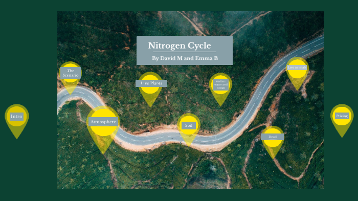 Nitrogen cycle by Student David Moore on Prezi