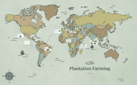 Plantation Farming by Liz P on Prezi