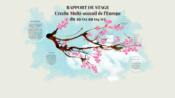 Rapport De Stage By Justine Seguy On Prezi Next