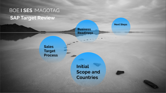 SAP TARGET REVIEW by LAURENT MELLOUL on Prezi