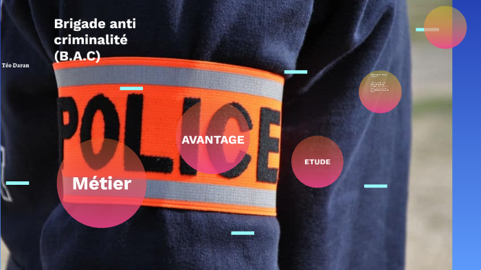 Rare Pins Police Brigade Controle Technique Egf D533 - Collection